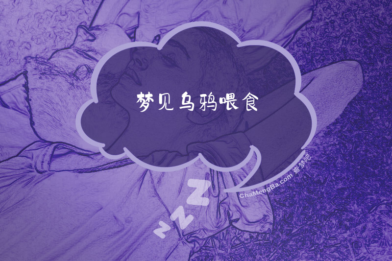 梦见乌鸦喂食