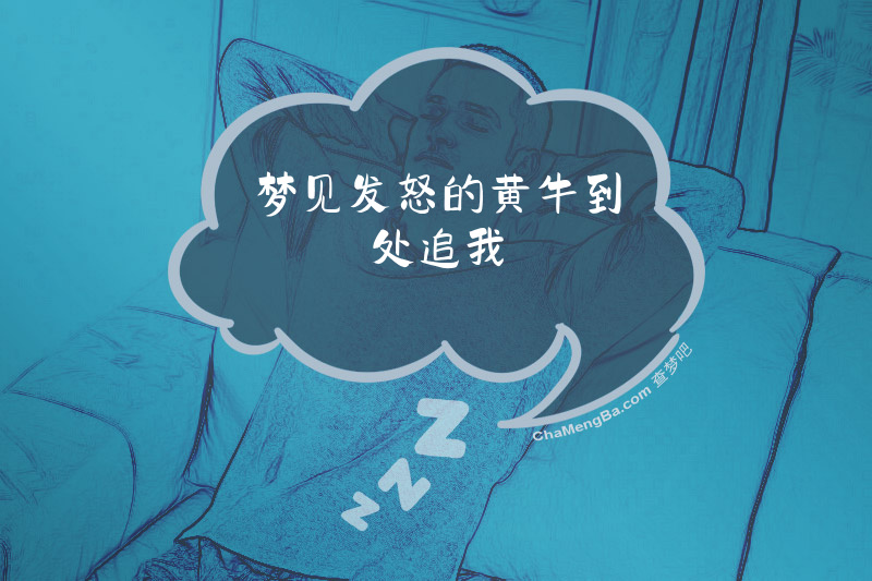 梦见发怒的黄牛到处追我