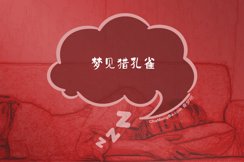 梦见猎孔雀