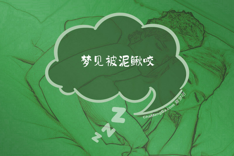 梦见被泥鳅咬