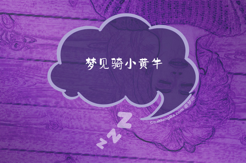 梦见骑小黄牛