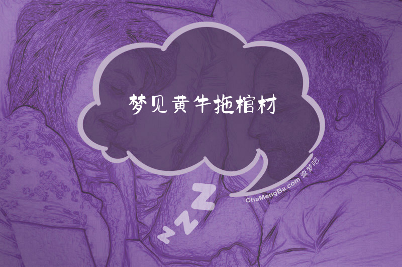 梦见黄牛拖棺材