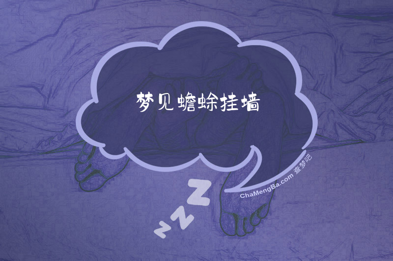 梦见蟾蜍挂墙