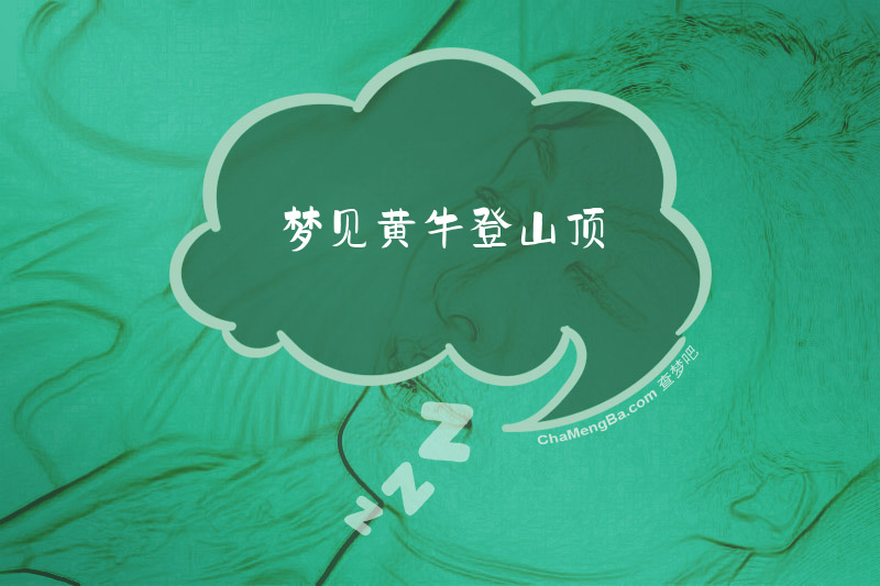 梦见黄牛登山顶
