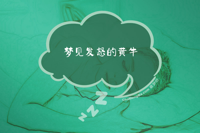 梦见发怒的黄牛