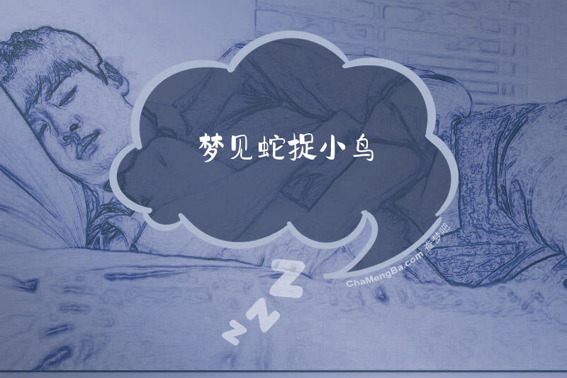 梦见蛇捉小鸟