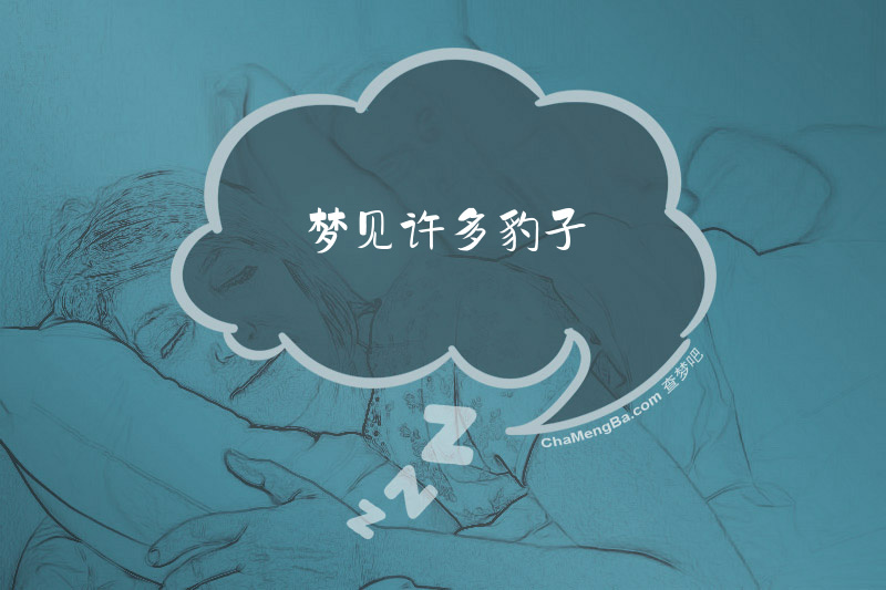 梦见许多豹子