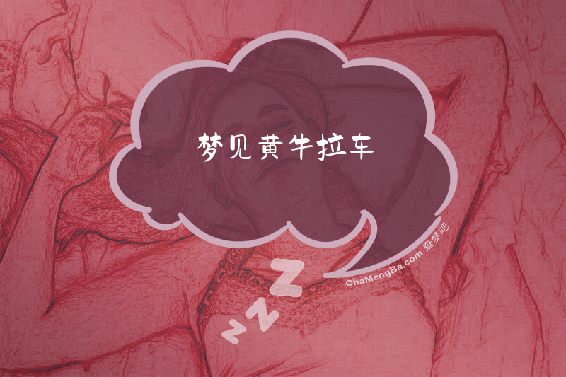 梦见黄牛拉车