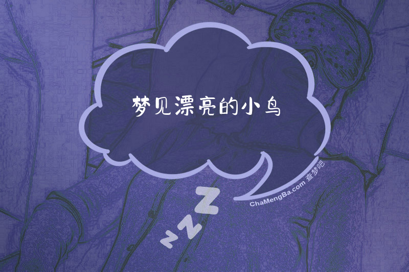 梦见漂亮的小鸟