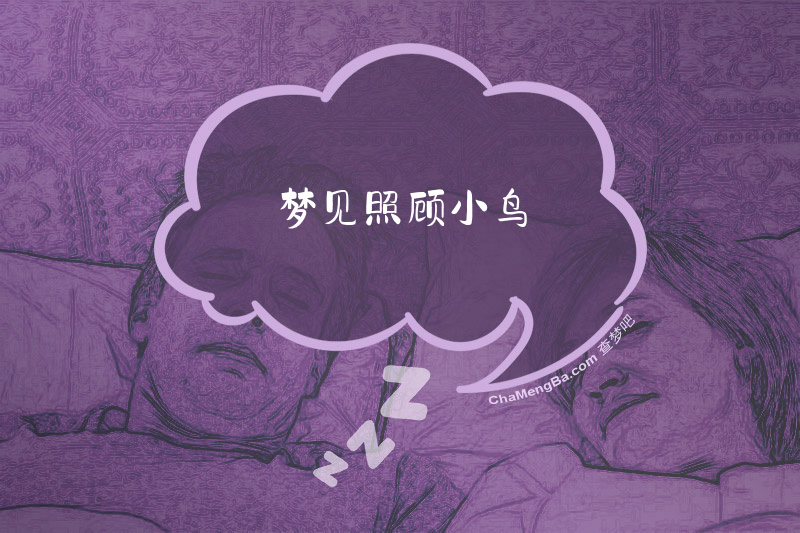 梦见照顾小鸟