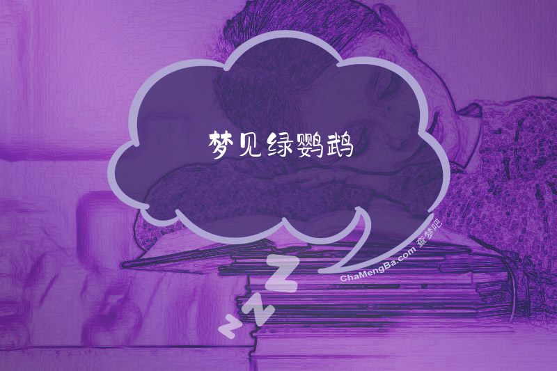 梦见绿鹦鹉