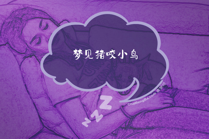梦见猪咬小鸟