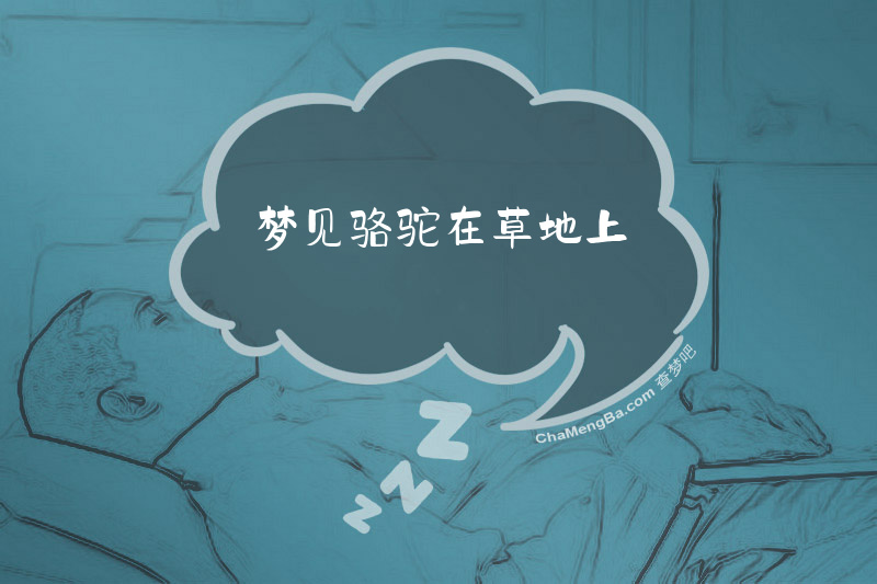 梦见骆驼在草地上