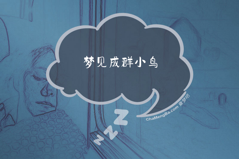 梦见成群小鸟