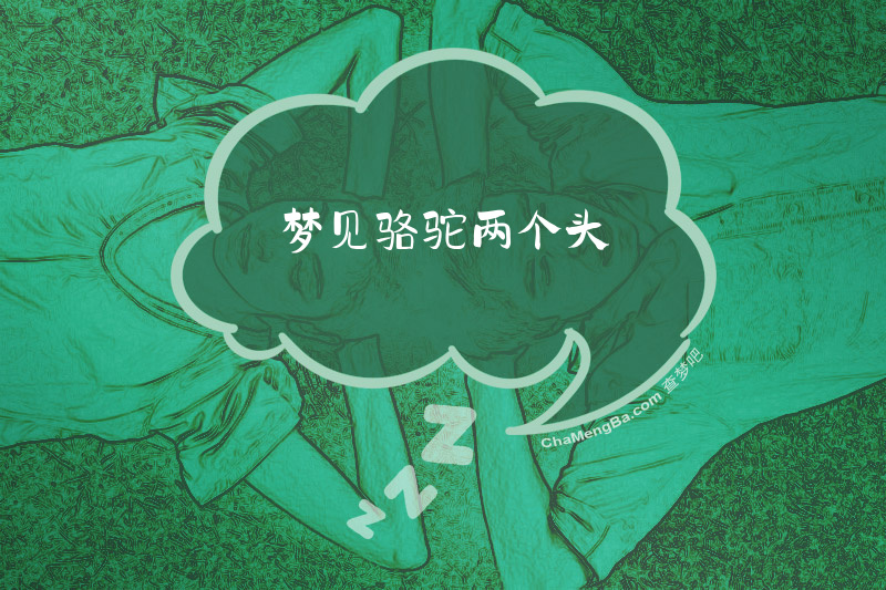 梦见骆驼两个头