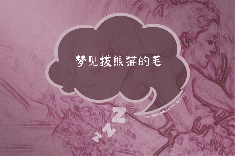 梦见拔熊猫的毛