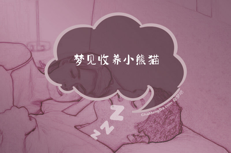 梦见收养小熊猫