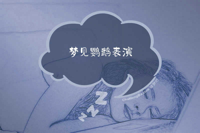 梦见鹦鹉表演