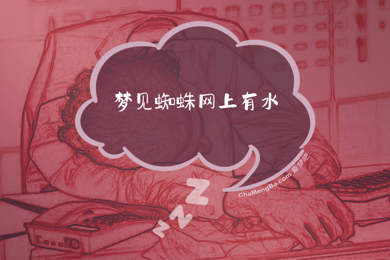 梦见蜘蛛网上有水