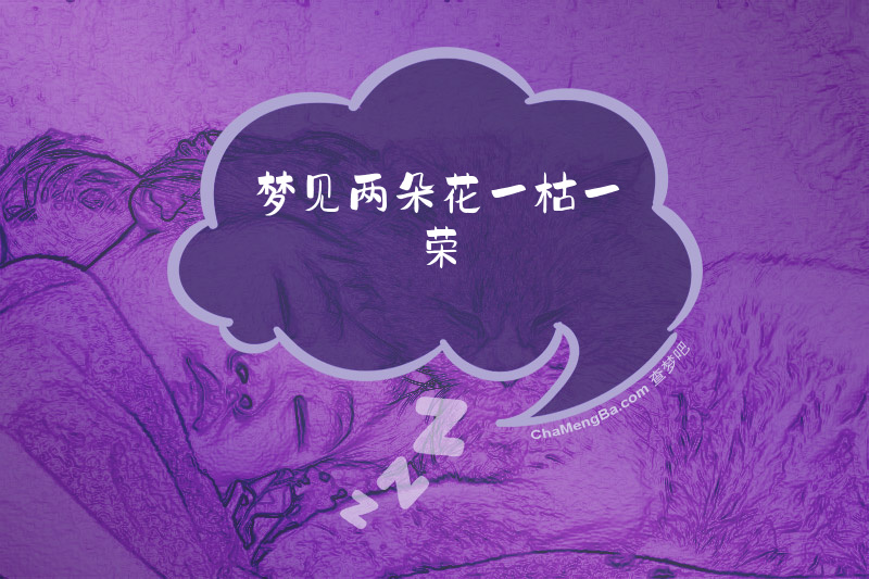 梦见两朵花一枯一荣