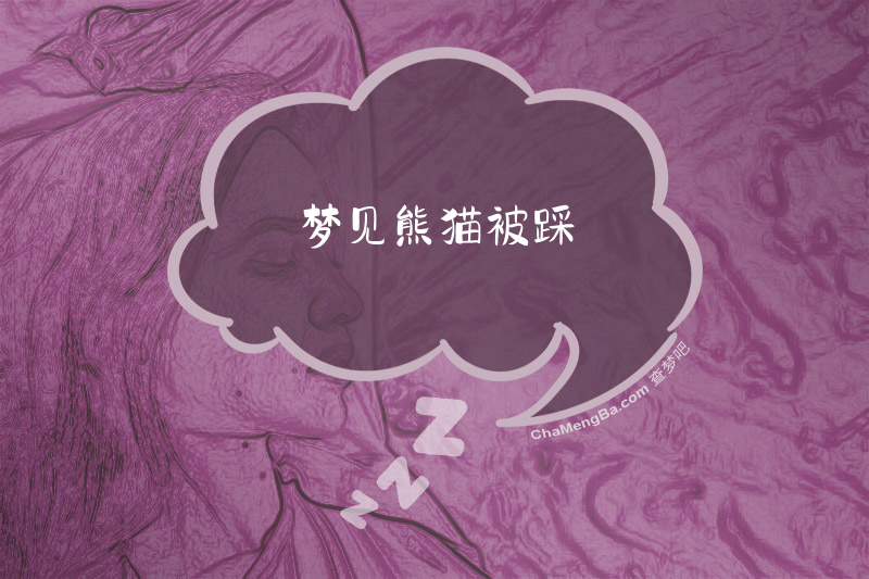 梦见熊猫被踩