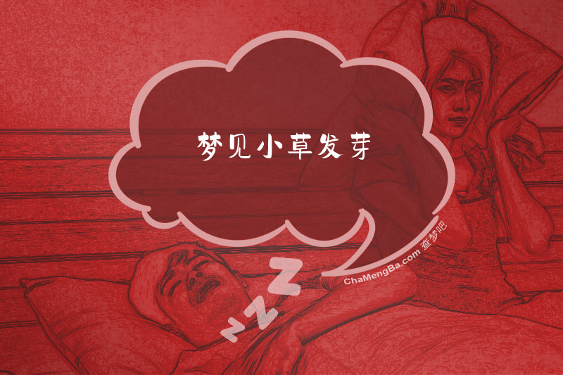 梦见小草发芽