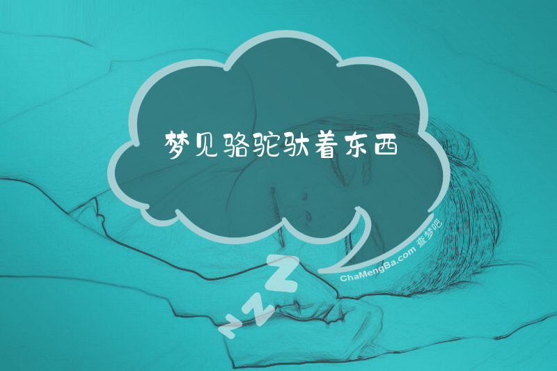 梦见骆驼驮着东西