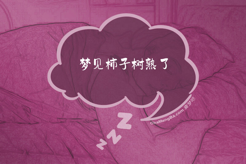 梦见柿子树熟了