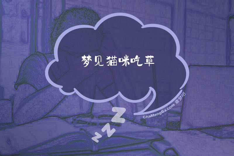 梦见猫咪吃草