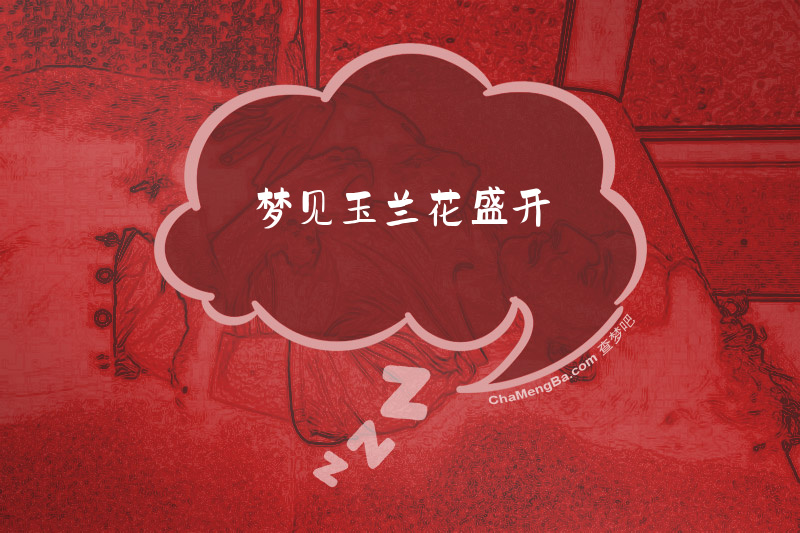 梦见玉兰花盛开