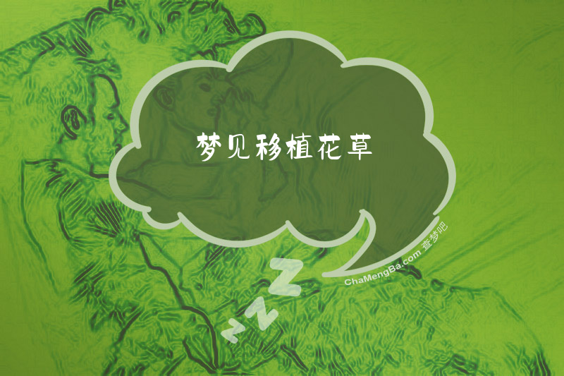 梦见移植花草