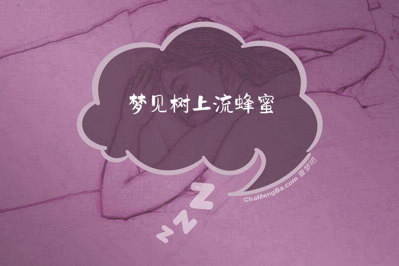 梦见树上流蜂蜜