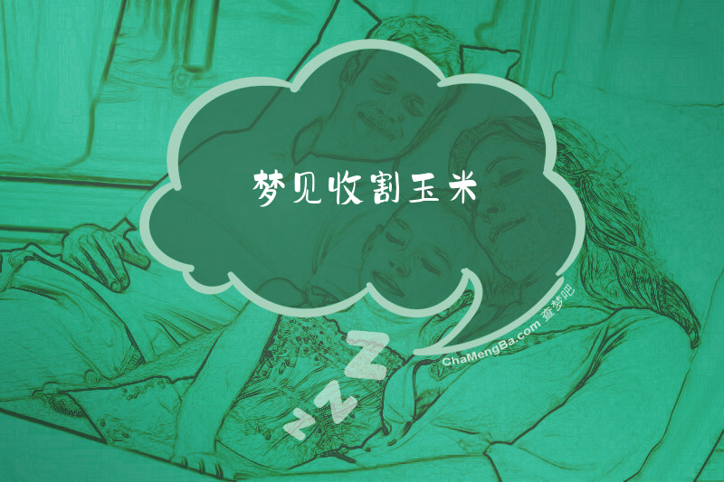 梦见收割玉米