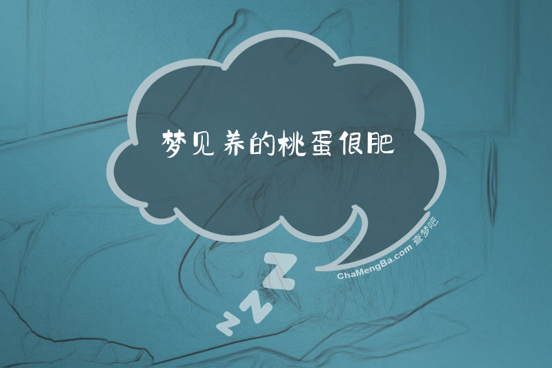 梦见养的桃蛋很肥