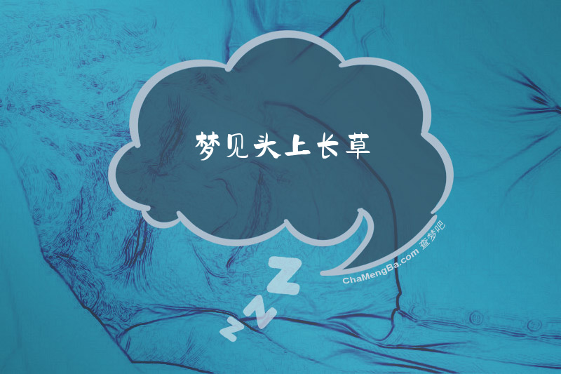 梦见头上长草
