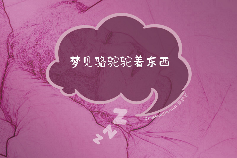 梦见骆驼驼着东西