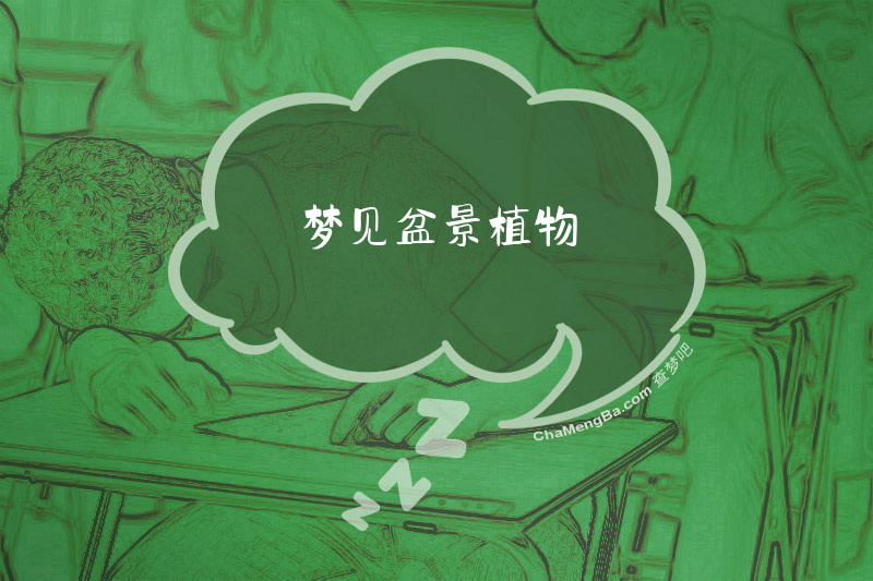 梦见盆景植物
