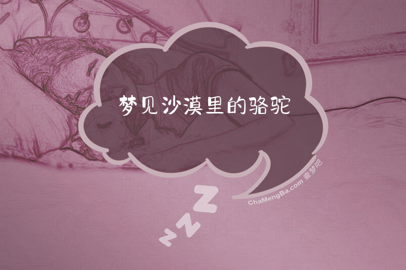 梦见沙漠里的骆驼