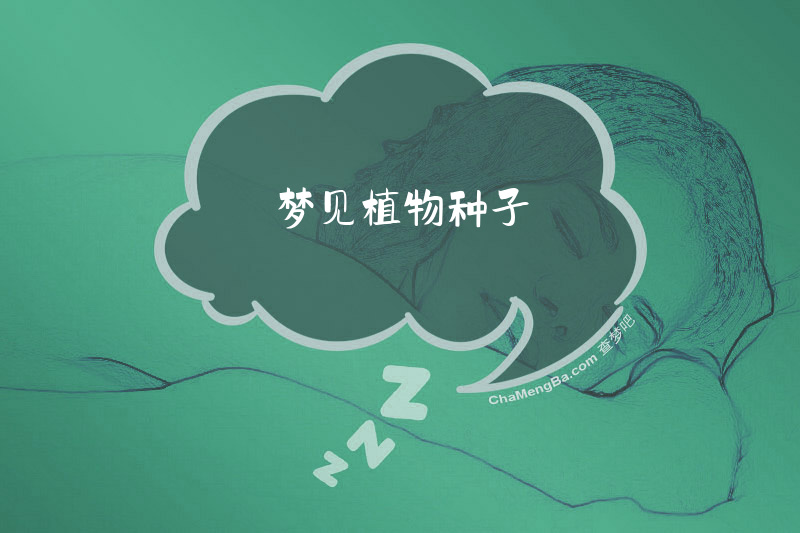 梦见植物种子