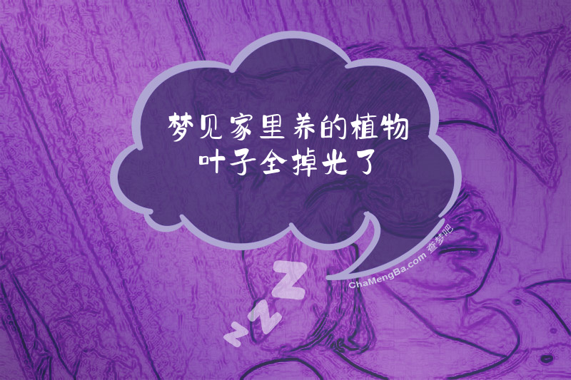 梦见家里养的植物叶子全掉光了