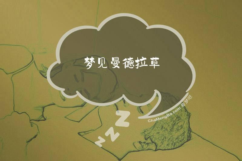 梦见曼德拉草