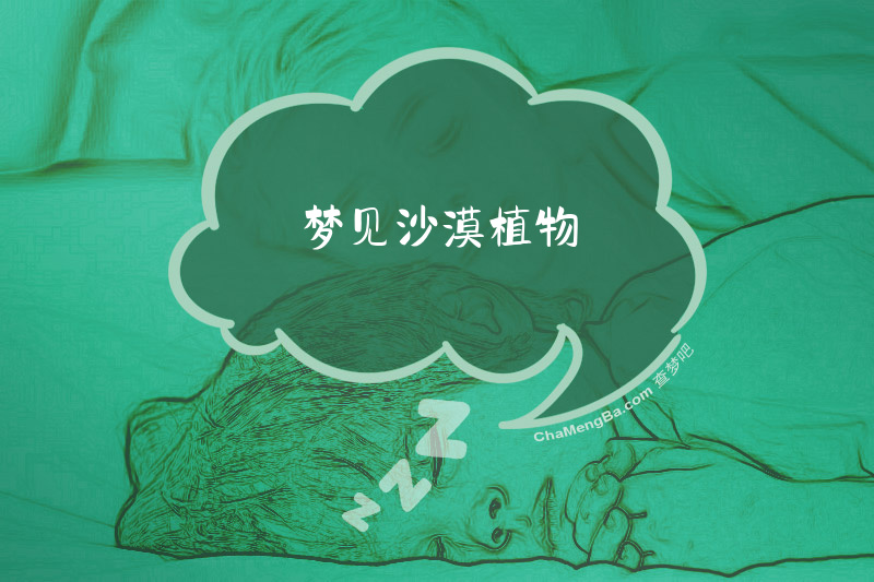 梦见沙漠植物