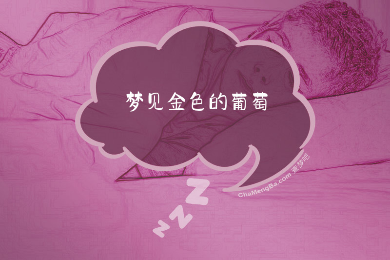 梦见金色的葡萄