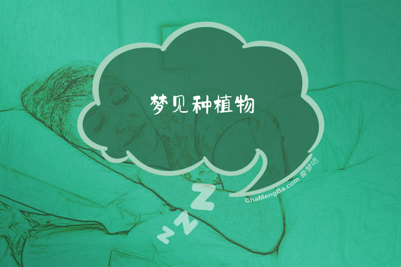 梦见种植物