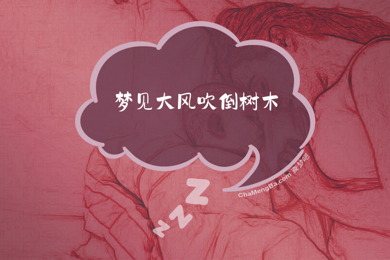 梦见大风吹倒树木