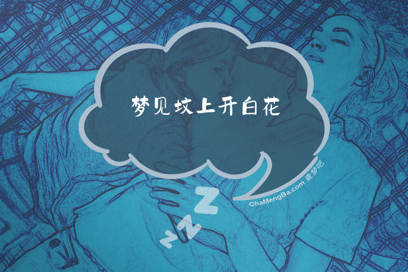 梦见坟上开白花
