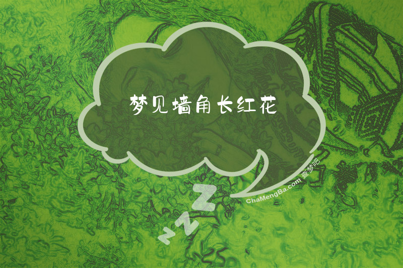 梦见墙角长红花