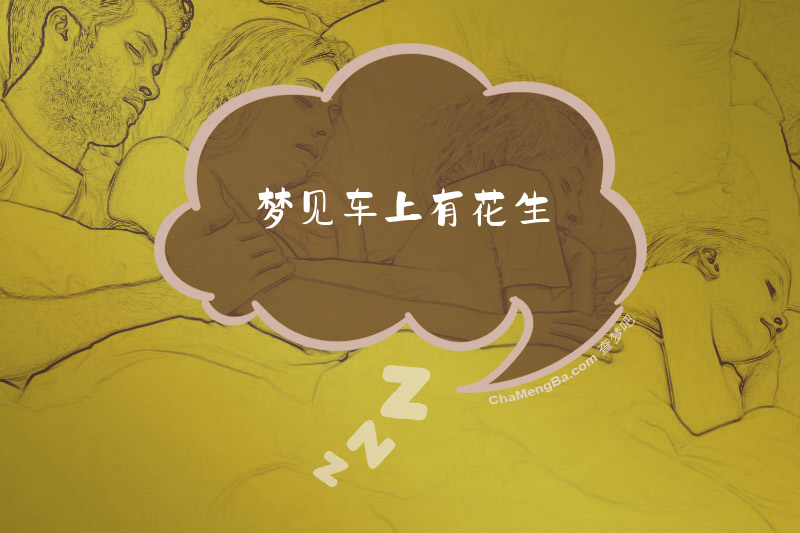 梦见车上有花生