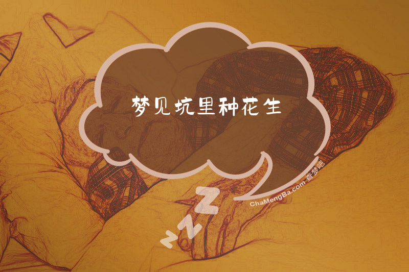 梦见坑里种花生