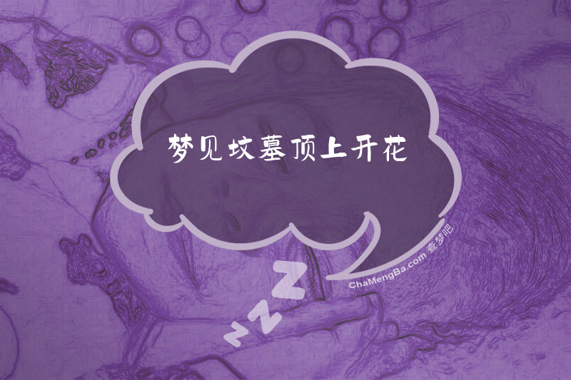 梦见坟墓顶上开花